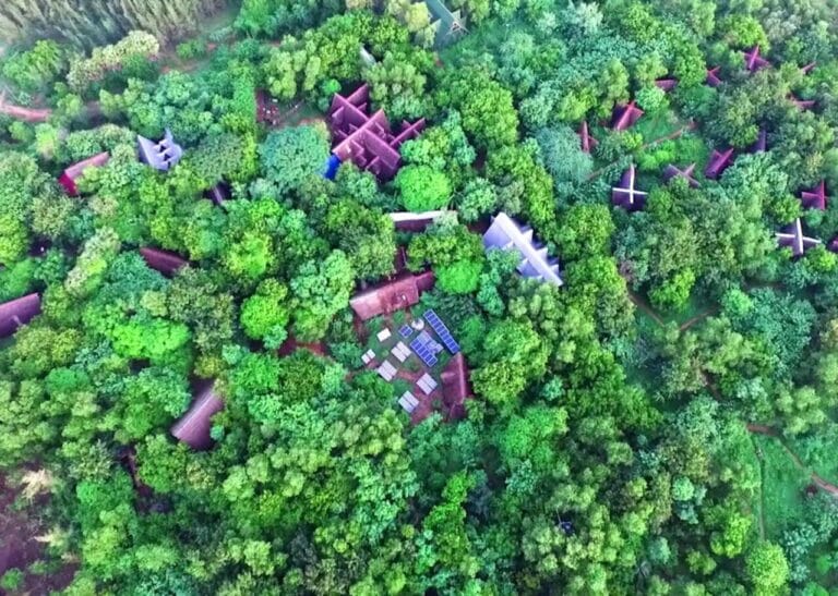 Help Sadhana Forest To Grow More Trees Worldwide