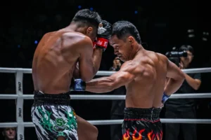 The Battle of Giants: WordPress vs. WP Engine and the Quest for Transparency