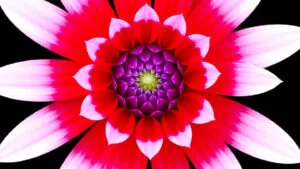 The Archive Fee: The Empire Strikes Back with a Paywall Against the Act of Self-Remembering