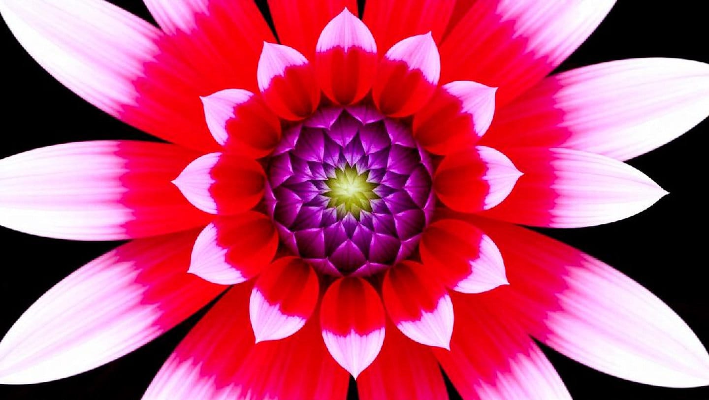 The Archive Fee: The Empire Strikes Back with a Paywall Against the Act of Self-Remembering