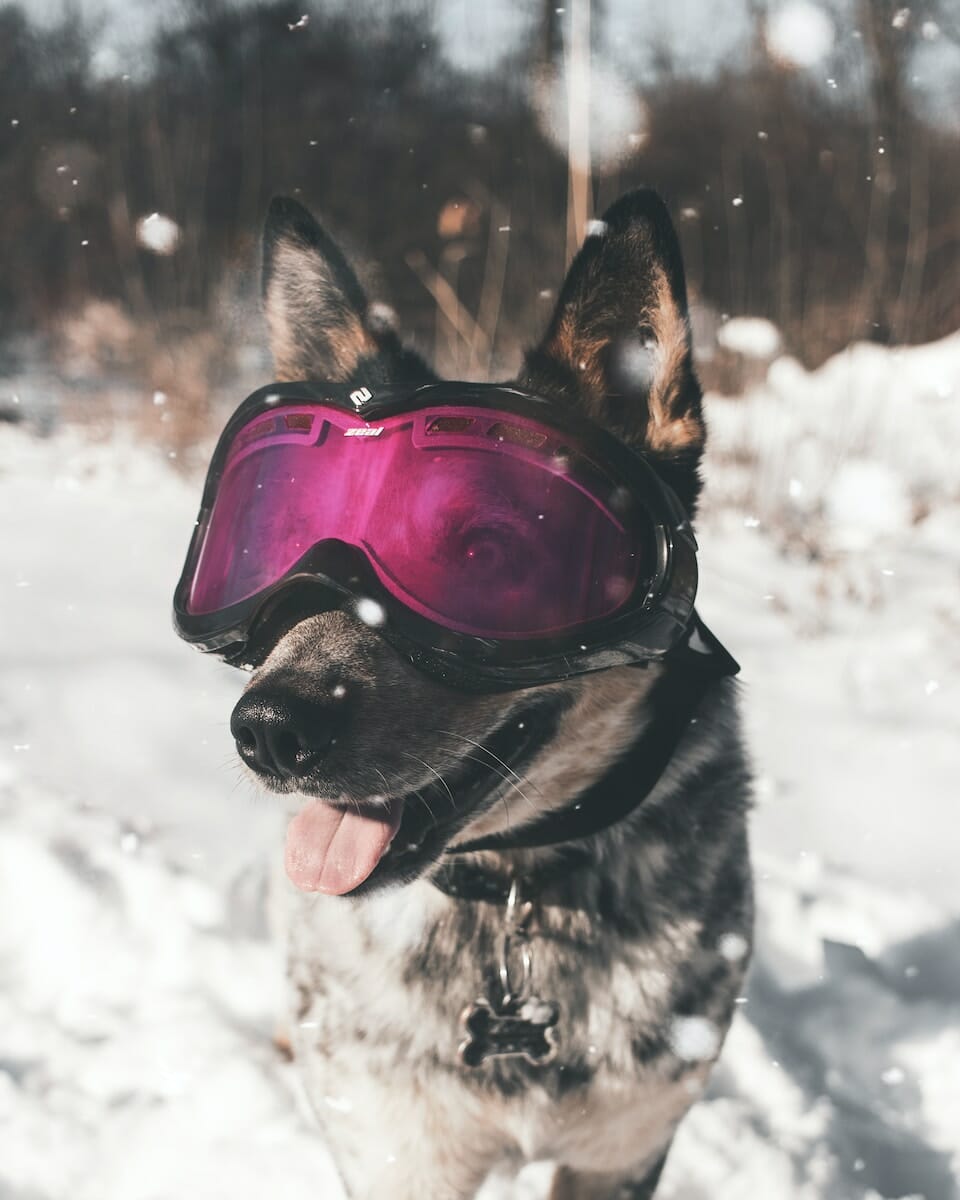 One Attempt on How To Degoggle Your Life