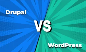 WordPress vs Drupal: Determining the Ultimate CMS for Enterprise Success